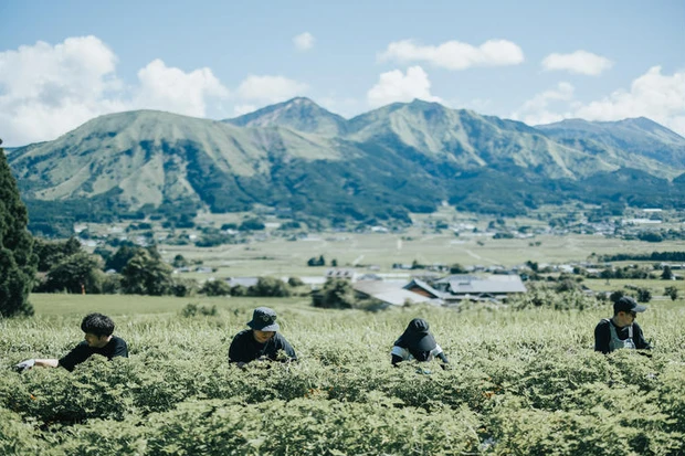 THREE　スリー　ホリスティック　精油　SDGs　7