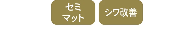 2024年春のパウダーファンデーション PhotoGallery_1_19