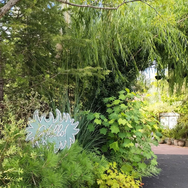 【人気のアジアコスメが大集合】マキアサロン MAQUIA SALON 『アジアンコスメスペシャル』レポート☆ヴィーガン・漢方好きさんも大注目☆お土産公開も♪_2_1