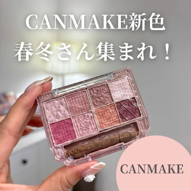 【新色コスメスウォッチ】CANMAKE プティパレットアイズ 05
