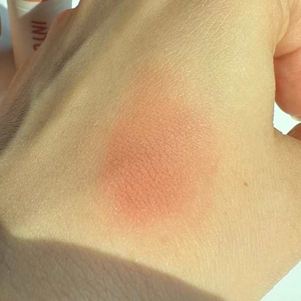 中国コスメ INTOU INTOYOU スーパーマットリップ＆チークマッド マルチコスメ 泥テクスチャー バズりコスメ　EM05 美人シナモン