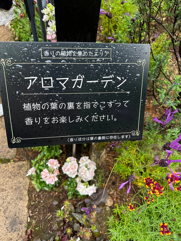 絵本の中にいるような美しい庭園「ラ・カスタ ナチュラル ヒーリング ガーデン」ブランド愛が高まる！！_4_1