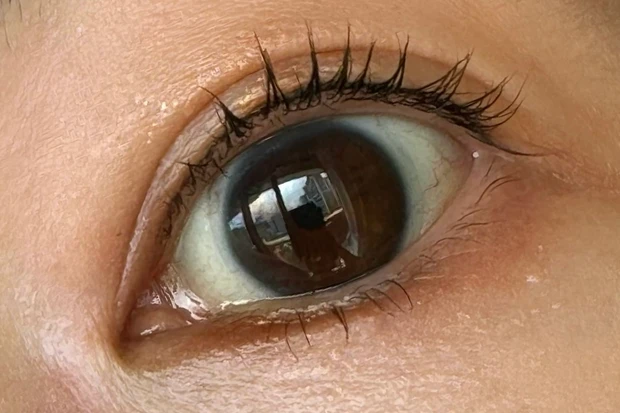 エテュセ　マスカラベース　マスカラ下地