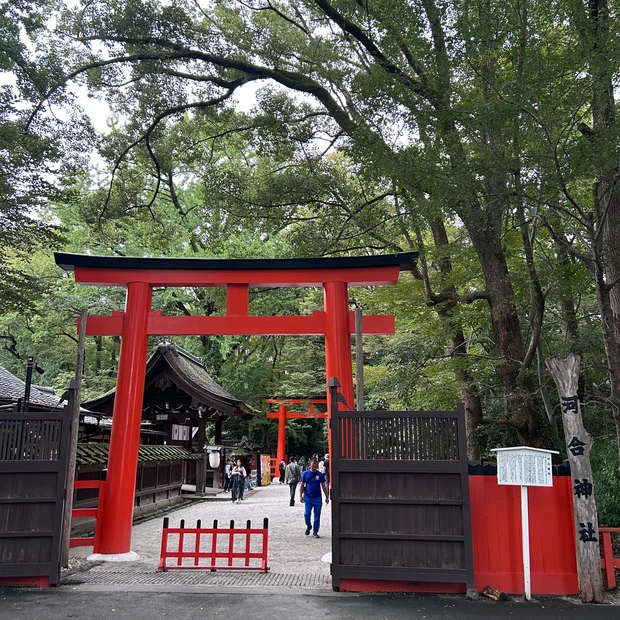 京都府　河合神社　鳥居　開運　ご利益　パワースポット