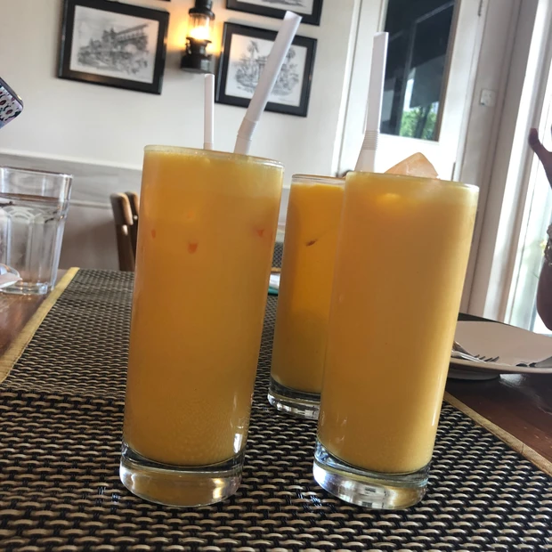 【夏バテ対策】美は健康な身体あってこそ！南国生活で出会った夏に打ち勝つ食べ物4選_6_2