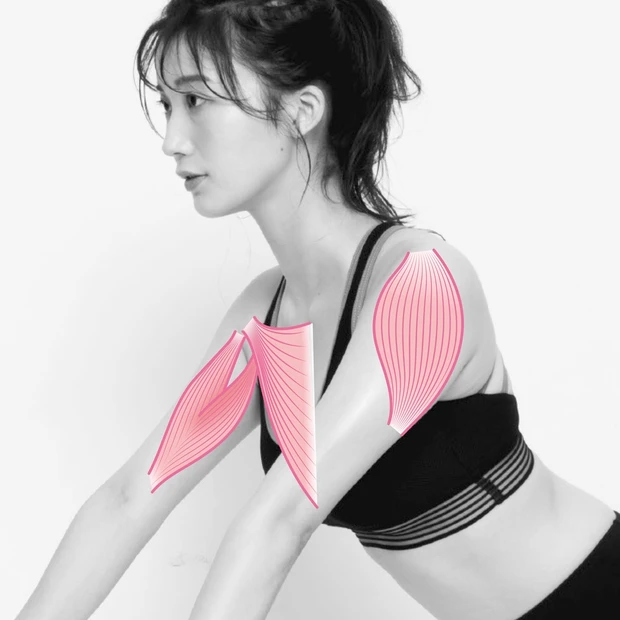 たるんだ二の腕に効果てきめん！ どこでもできる「谷本流・いきなり筋トレ」