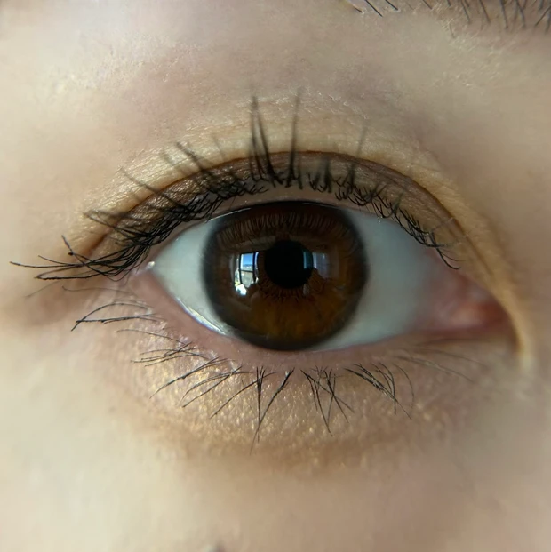 デザイニングブラウンアイズEX-2 スウォッチ