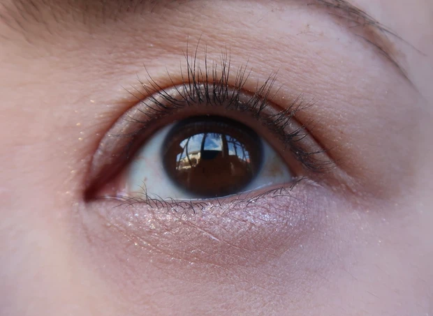 CANMAKE  プランぷくコーデアイズのマットとラメ