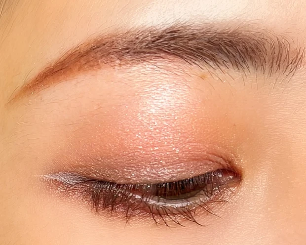 CANMAKE キャンメイク プティパレットアイズ プリュムフラワー