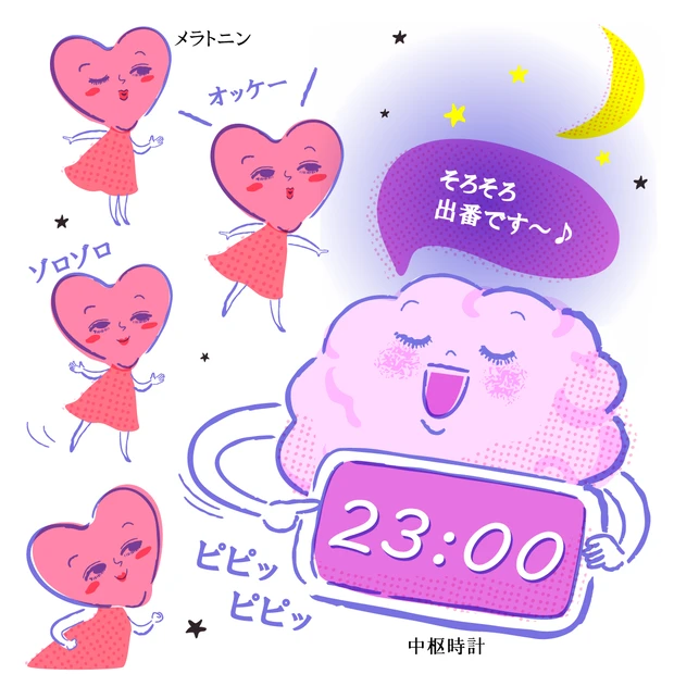 脳が満たされれば、肌の調子も上向きに？！　脳と美肌のよい関係って？
_5