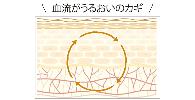 血流がうるおいのカギ