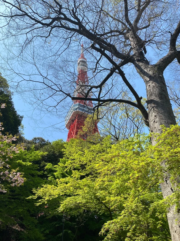 東京タワーへ階段で上がろうよ!運動不足解消し、ご褒美もらえる!_6_1