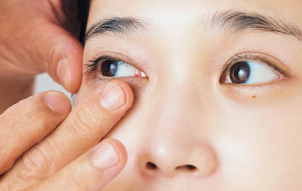 クマの隠し方　林田岬優