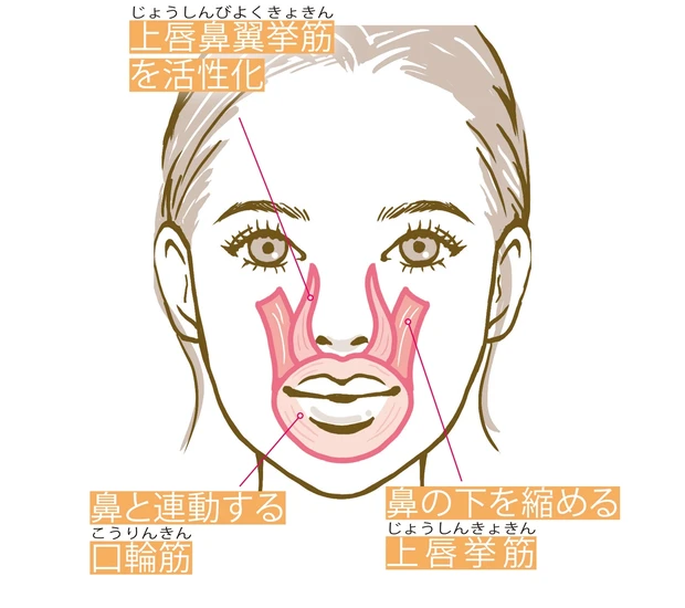 広がってむくんだ鼻をスマートに