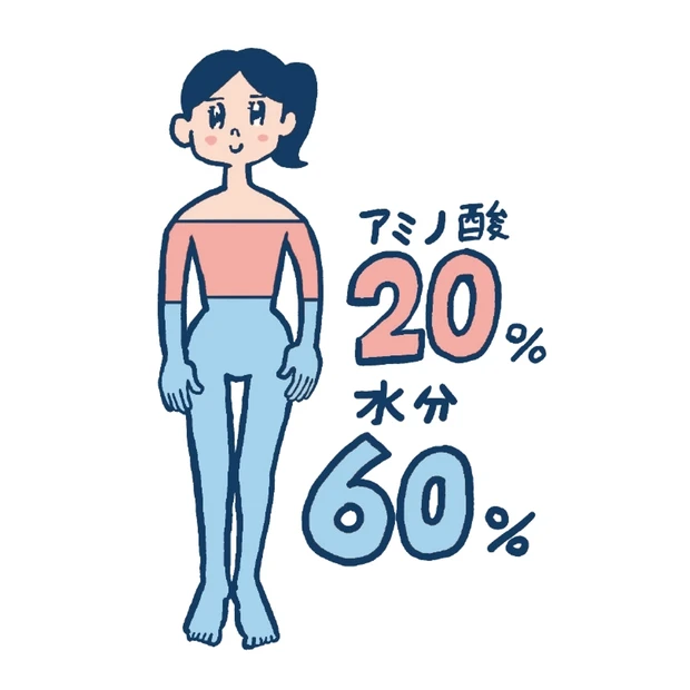 保湿成分「アミノ酸」パワーの真実。肌にも体にも欠かせない存在だった！