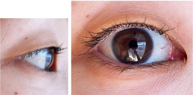 落ちないマスカラ マジョリカ マジョルカ ラッシュエキスパンダー孔雀ロング2