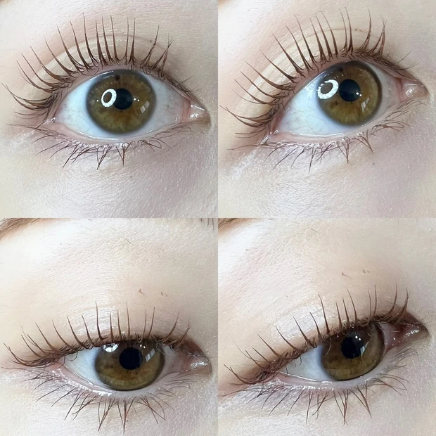 【MAQUIAインフルエンサーのオッス！推しコス】絶賛毎日愛用中！大人気D-UPのカラーマスカラ４色徹底レビュー_4_3