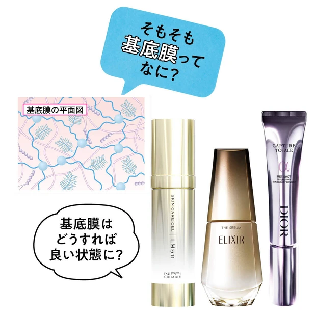 美容好きなら知っておきたい 「基底膜」とは?役割やおすすめのスキンケアコ…