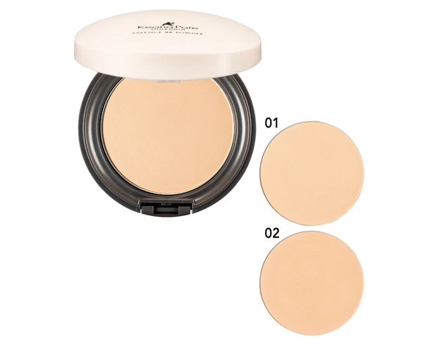 サナ 毛穴パテ職人 エッセンスBBパウダー N 