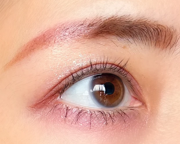 【WHOMEE(フーミー)話題の新作】イガリシノブさん的骨格理論で簡単垢抜けメイク💖【時計回りパレット・反時計回りパレット】_5_1