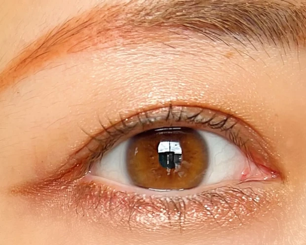 CANMAKE キャンメイク プティパレットアイズ 全色レビュー プチプラコスメ