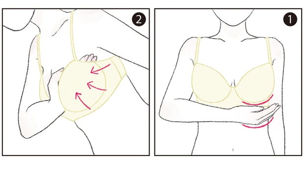 正しいブラジャーの着け方