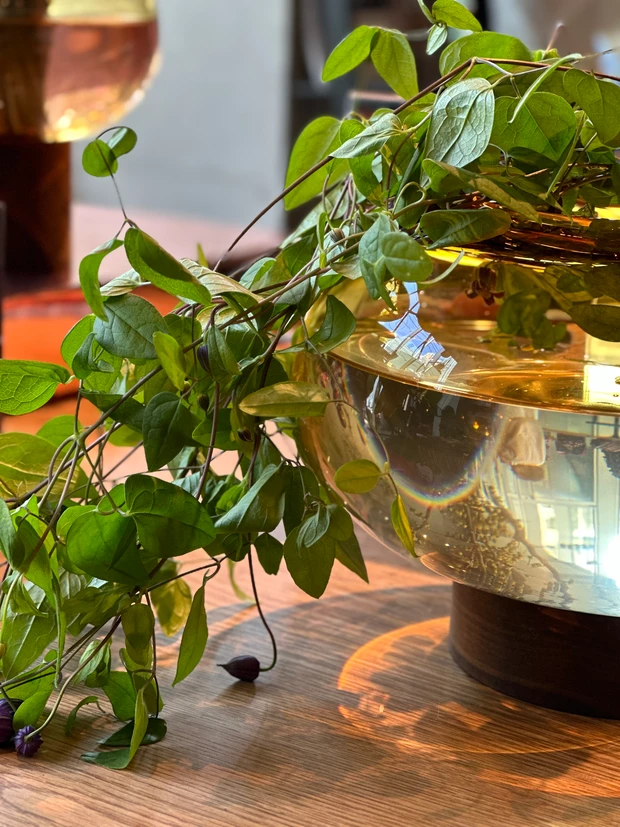 生花はストレスを軽減させる効能!ニコライバーグマンのお花屋さんへ。_1_1