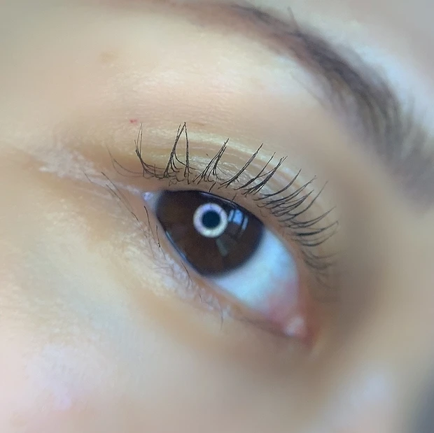 ブラウンマスカラ エクセル ロング&カラードラッシュ ダークウォルナット