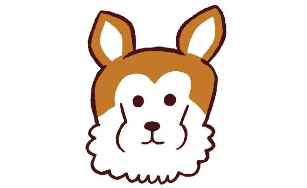 「どうぶつ顔タイプ」から導く正解メイク PhotoGallery_1_5