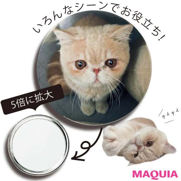 人気猫マッシュが手鏡に！ 「MAQUIA」8月号の付録は、美容好き必携の…