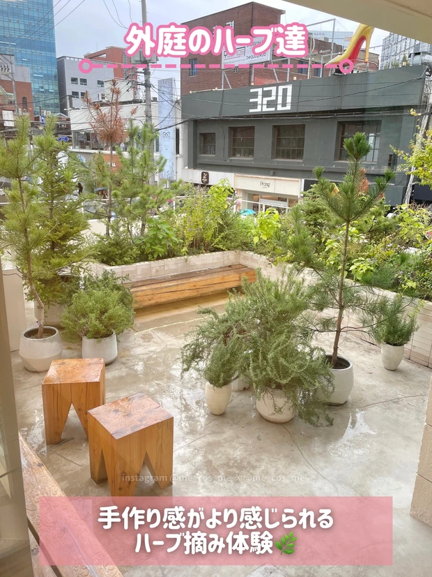 ハーブを自分で摘めるテラス