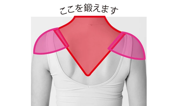 ここを鍛えます