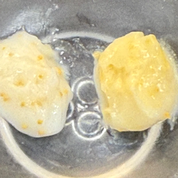 パンテーンのプレミアムライン EXPシリーズ カプセル美容液ヘアマスク 1万粒!
_3_1