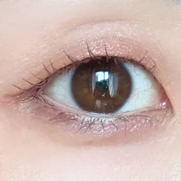 suqqu　アイシャドウ　人気