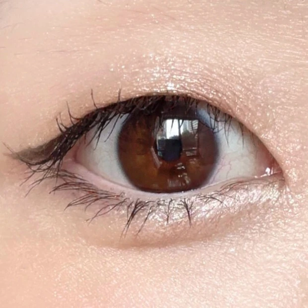 スキンシャドウ デザイニング パレット 08 Brilliance Blinkの塗布写真