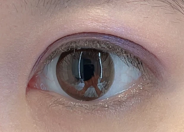 オンブルクルールクアドリ12の③