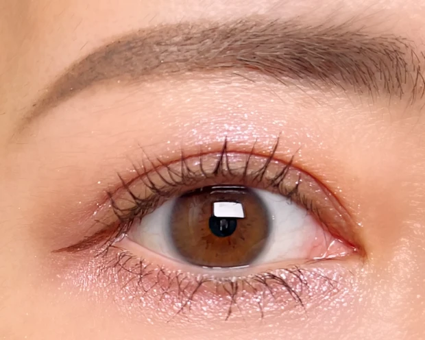 CANMAKE キャンメイク プティパレットアイズ 全色レビュー プチプラコスメ