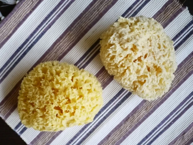 ガサガサ唇とマスク崩れの救世主♡京都「よーじや」コスメが使える!_7