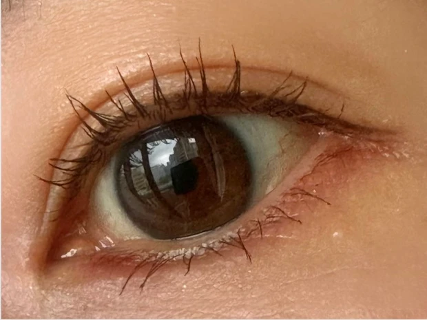 ビーエー　B.A アイシャドウ　アイパレ　デパコス