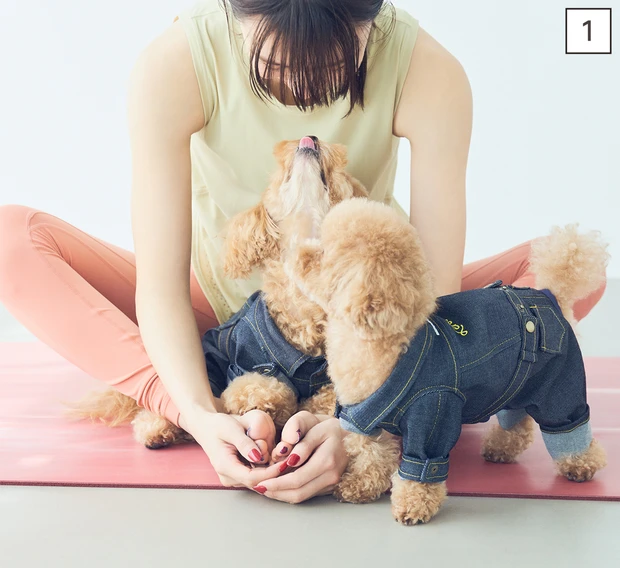 ドッグヨガ真珠貝のポーズ①