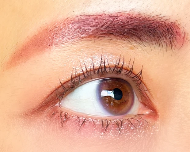 Wonjungyo ウォンジョンヨ Wデイリームードアップパレット 韓国コスメ TWICE