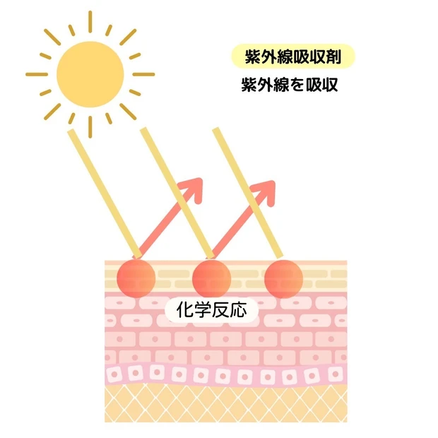 【日焼け止めマニア】日焼け止めの基礎知識を解説!_1_1