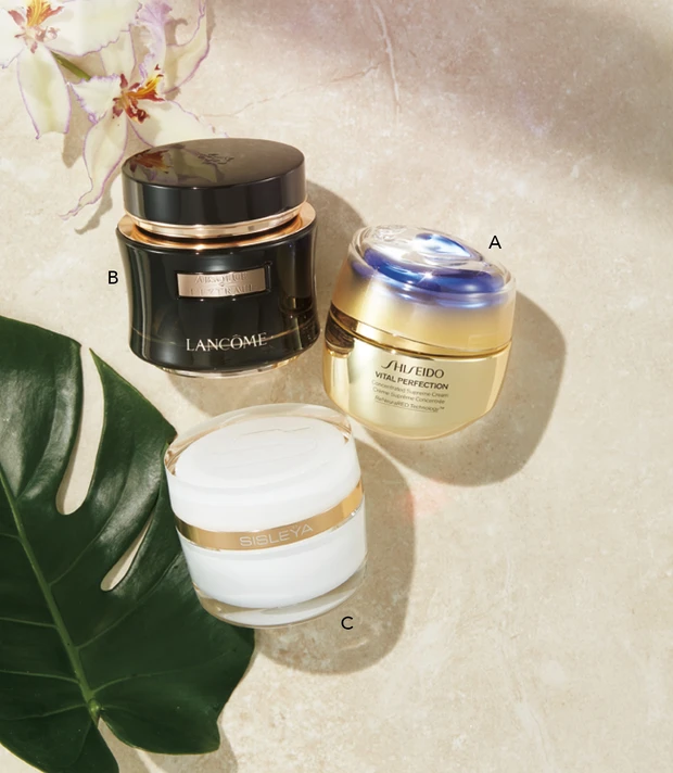 TREND2　造形にまでアプローチ！ 超ハイスペッククリーム