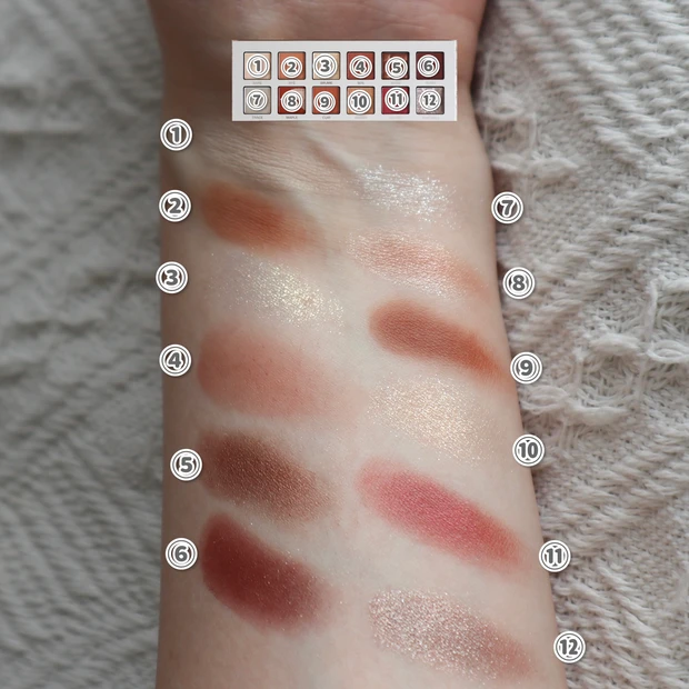 パーフェクトダイアリー エクスプローラ 12色動物パレット オータムチェストナット　スウォッチ