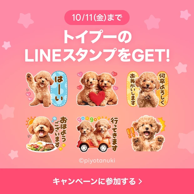 最新美容情報をLINEにお届け！ 「トイプー×選べるニュース」LINEスタンププレゼントキャンペーン実施中_1