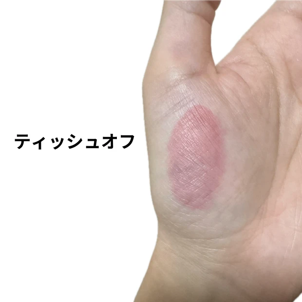 見たまま発色!つやんつやんのティントリップ_1_2