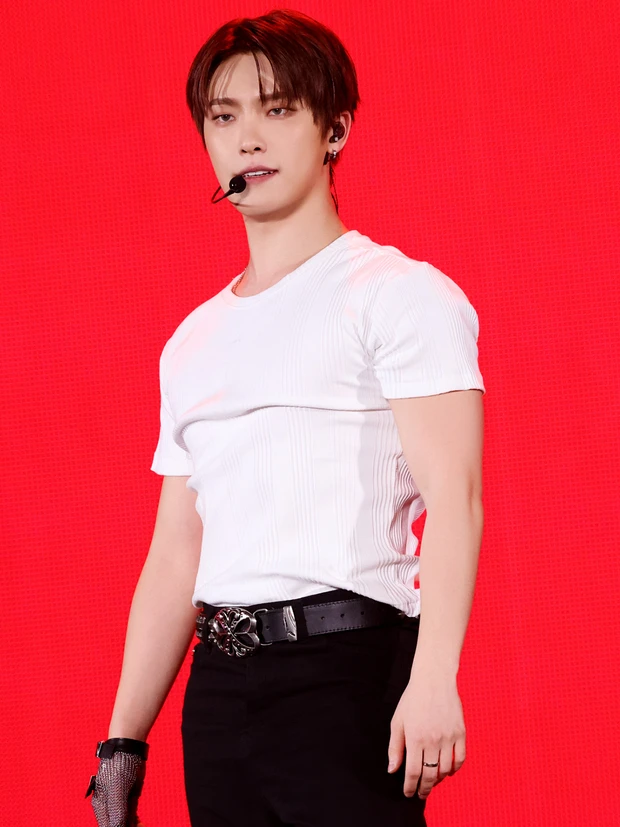 SEVENTEEN セブンティーン　ライブレポート　ソロ　DINO　Trigger