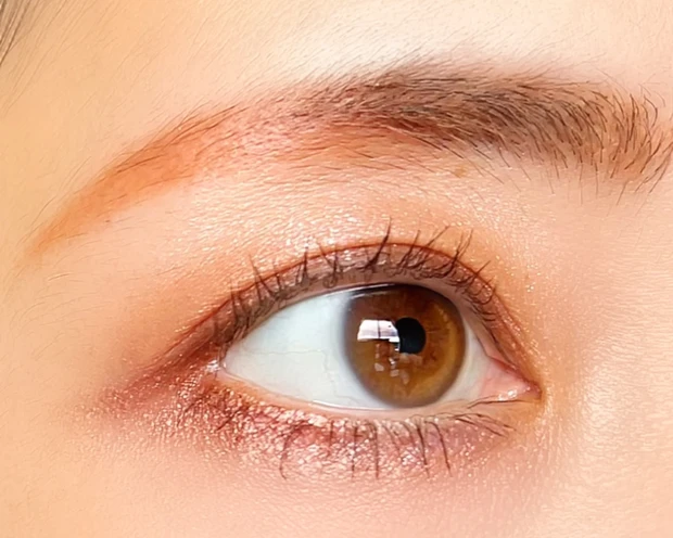 CANMAKE キャンメイク プティパレットアイズ ボヌールマロン