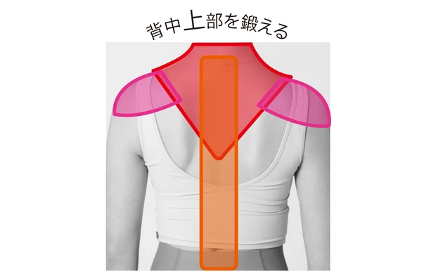 背中上部を鍛える