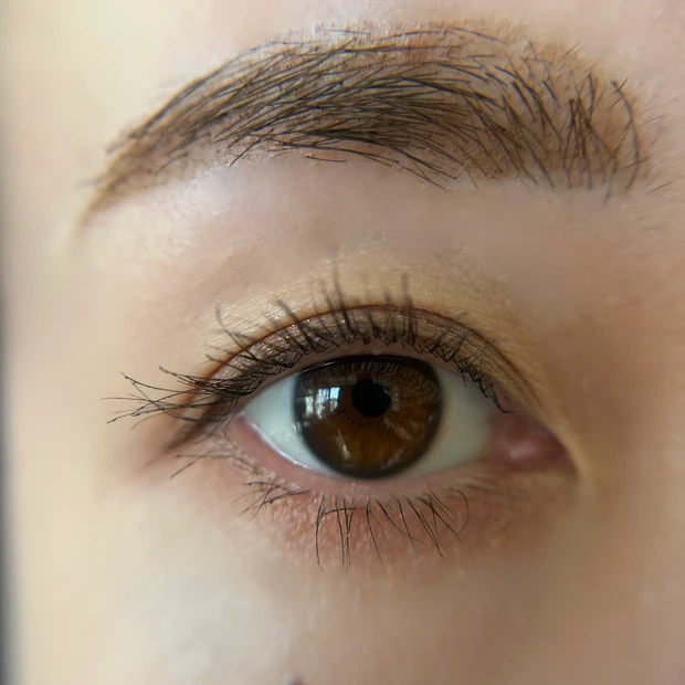 アイカラーレーションN18 目元スウォッチ